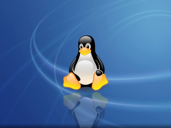 картинка Настройка Сервера на базе Linux в Софтсервис24
