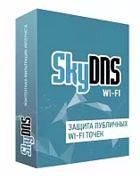 картинка SkyDNS.Wi-Fi  - лицензия на 1 точку доступа,  на 1 год от Софтсервис24